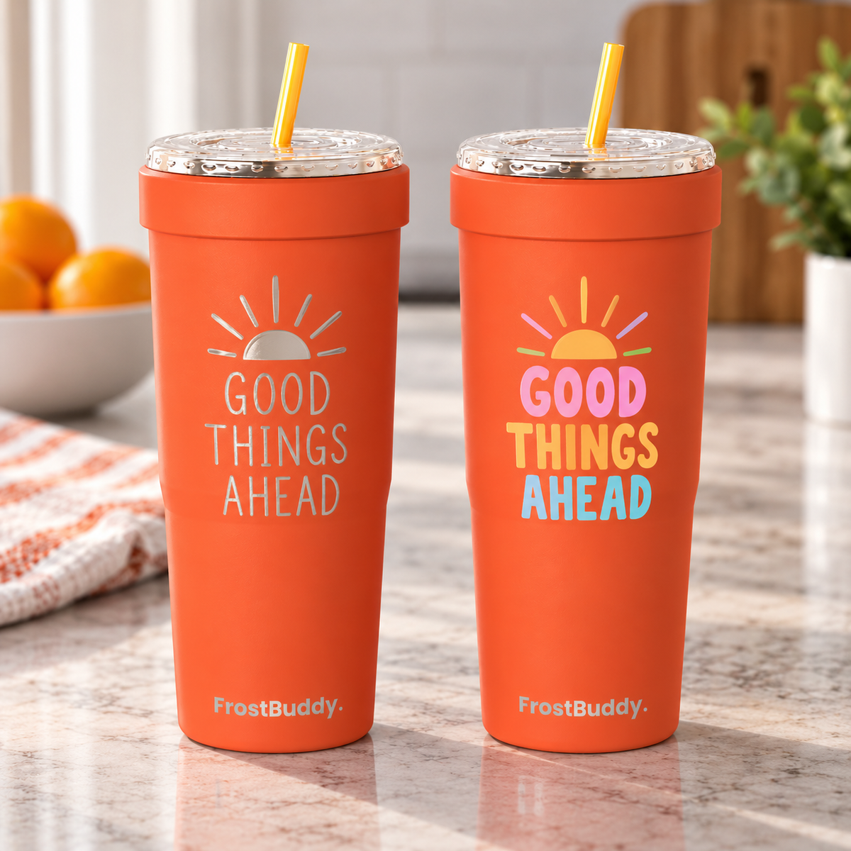 FrostBuddy ToGo Buddy 30 oz - Orange